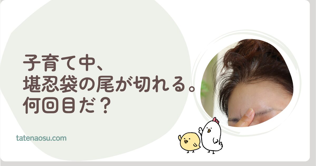 子育て中の怒りをコントロールして、堪忍袋を大きくする
